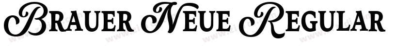 Brauer Neue Regular字体转换 Brauer Neue Regular字体转换